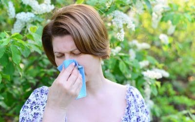 Cleaning During Denver’s Allergy Season