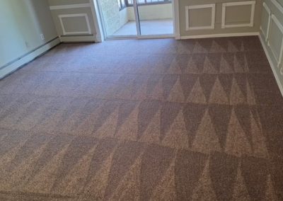 Aurora One time Carpet Vacuum