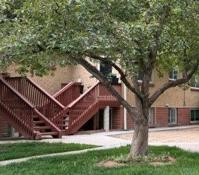 Biweekly Commercial Cleaning Services in Denver, CO