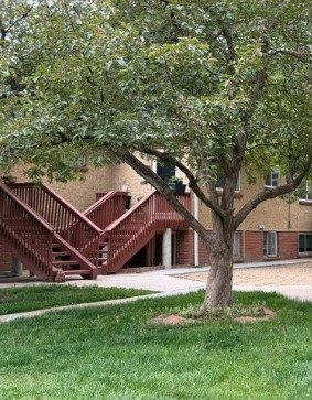 Biweekly Commercial Cleaning Services in Denver, CO